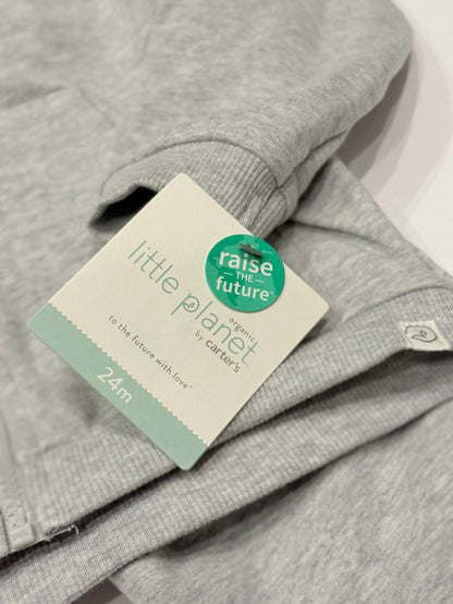 Little Planet by Carter's Gray Tracksuit Set 24M