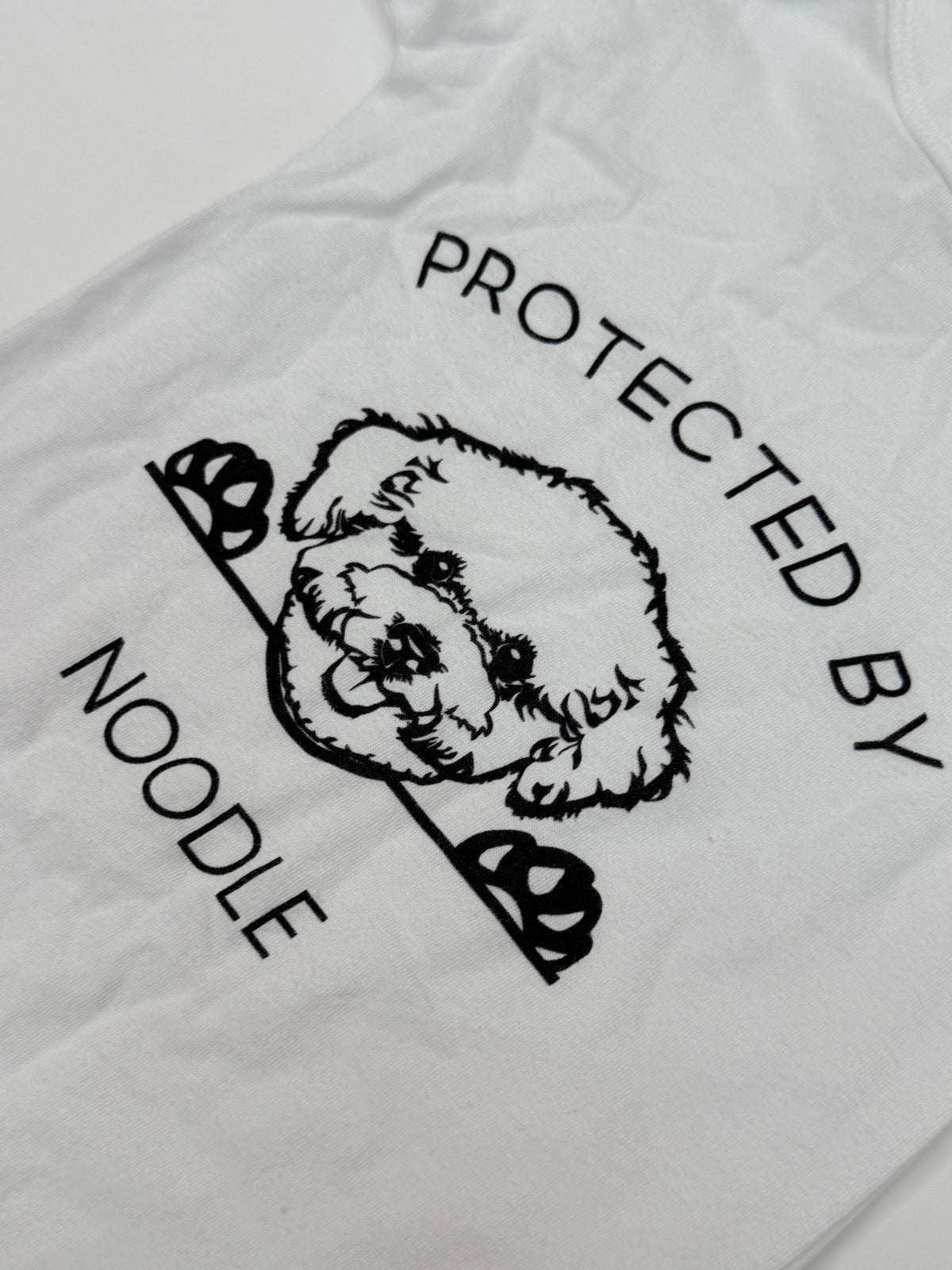 Bella Canvas Protected By Noodle Onesie 6-12m