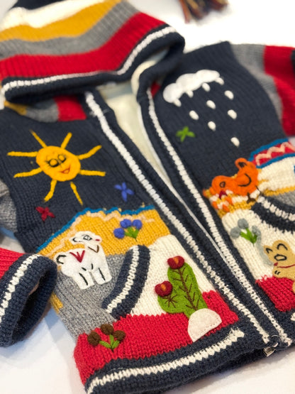Peruvian Embroidered Hooded Cardigan Size 2T