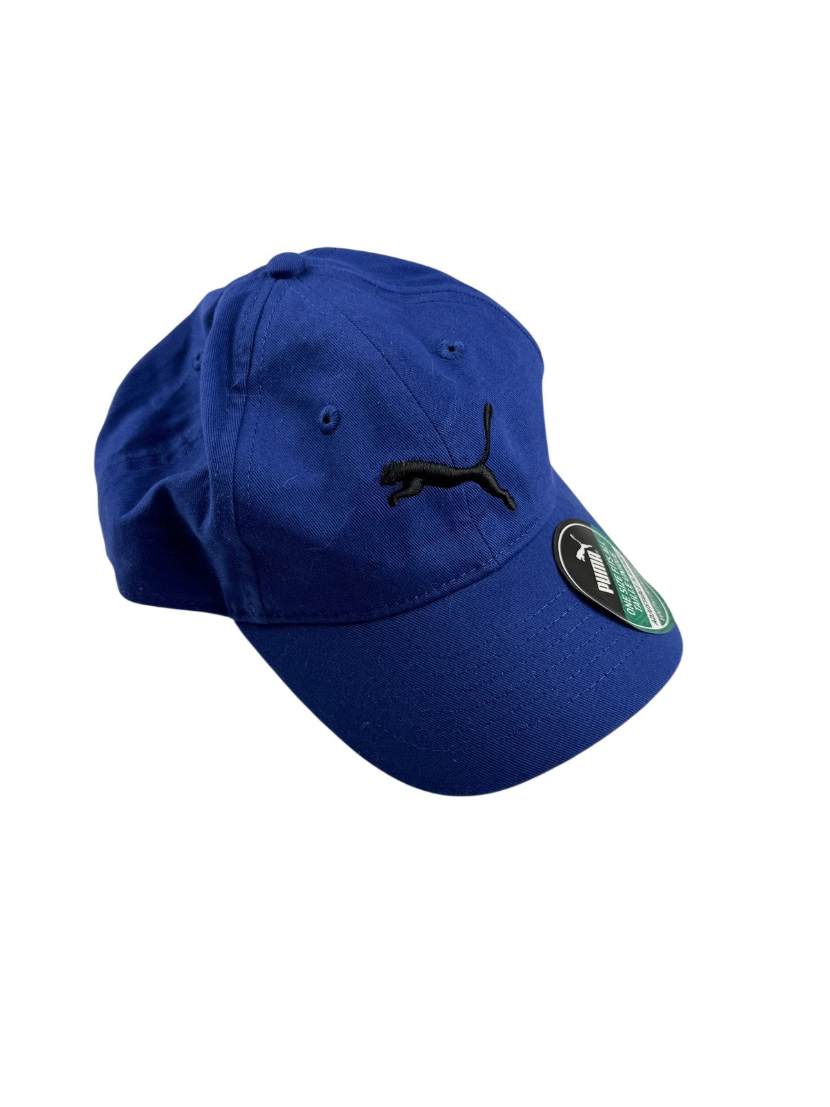 NWT - Puma Blue Youth Adjustable Baseball Hat