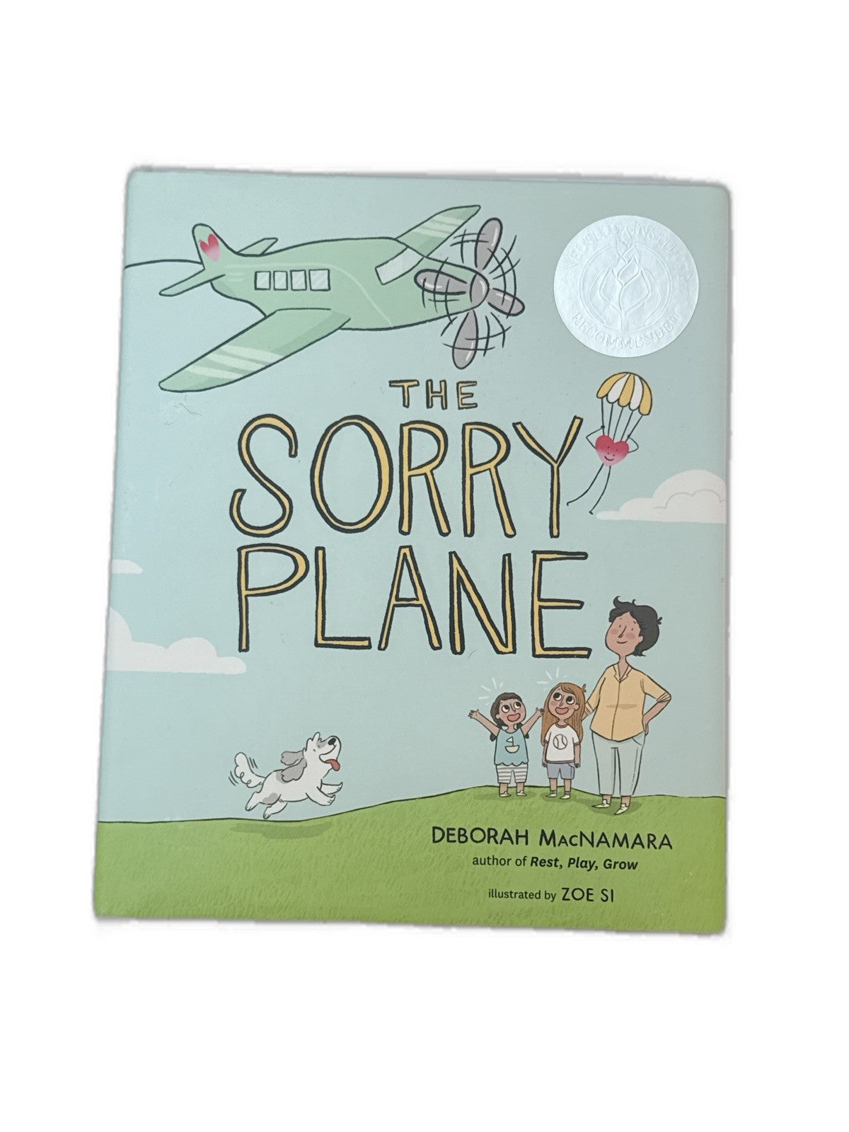 Deborah MacNamara The Sorry Plane