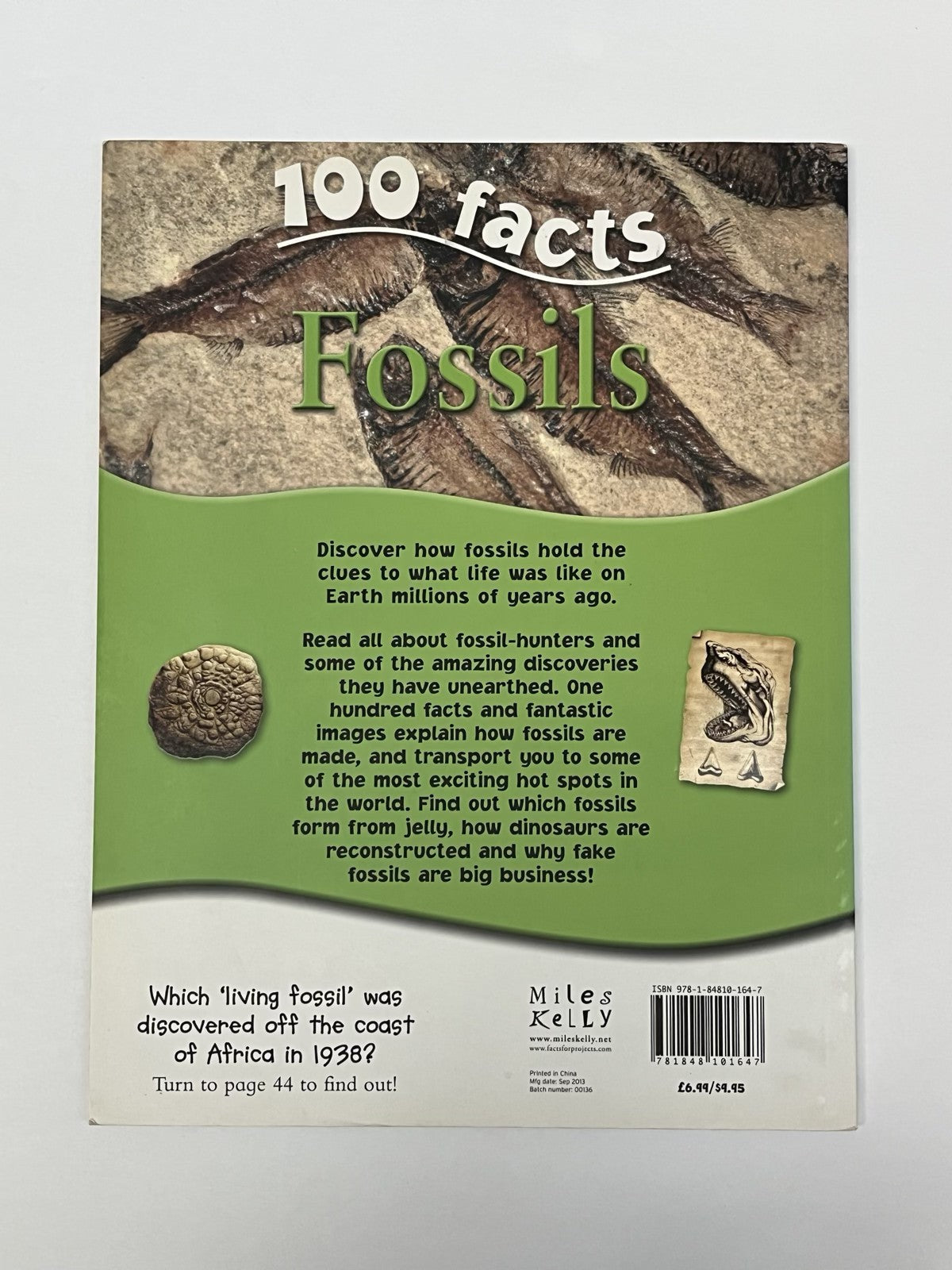 100 Facts Fossils