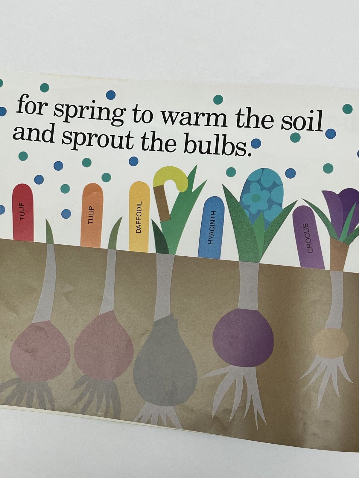 Lois Ehlert Planting a Rainbow