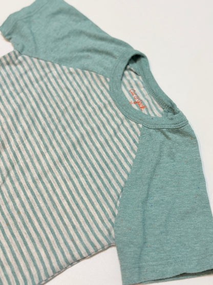 Cat & Jack Teal Stripe Raglan T-Shirt 2T