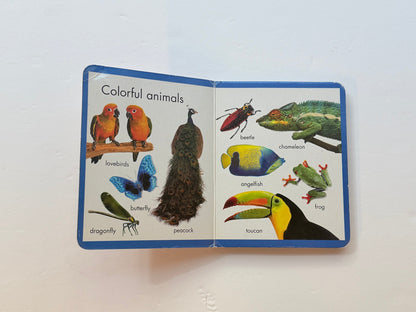 First Animals Board Book