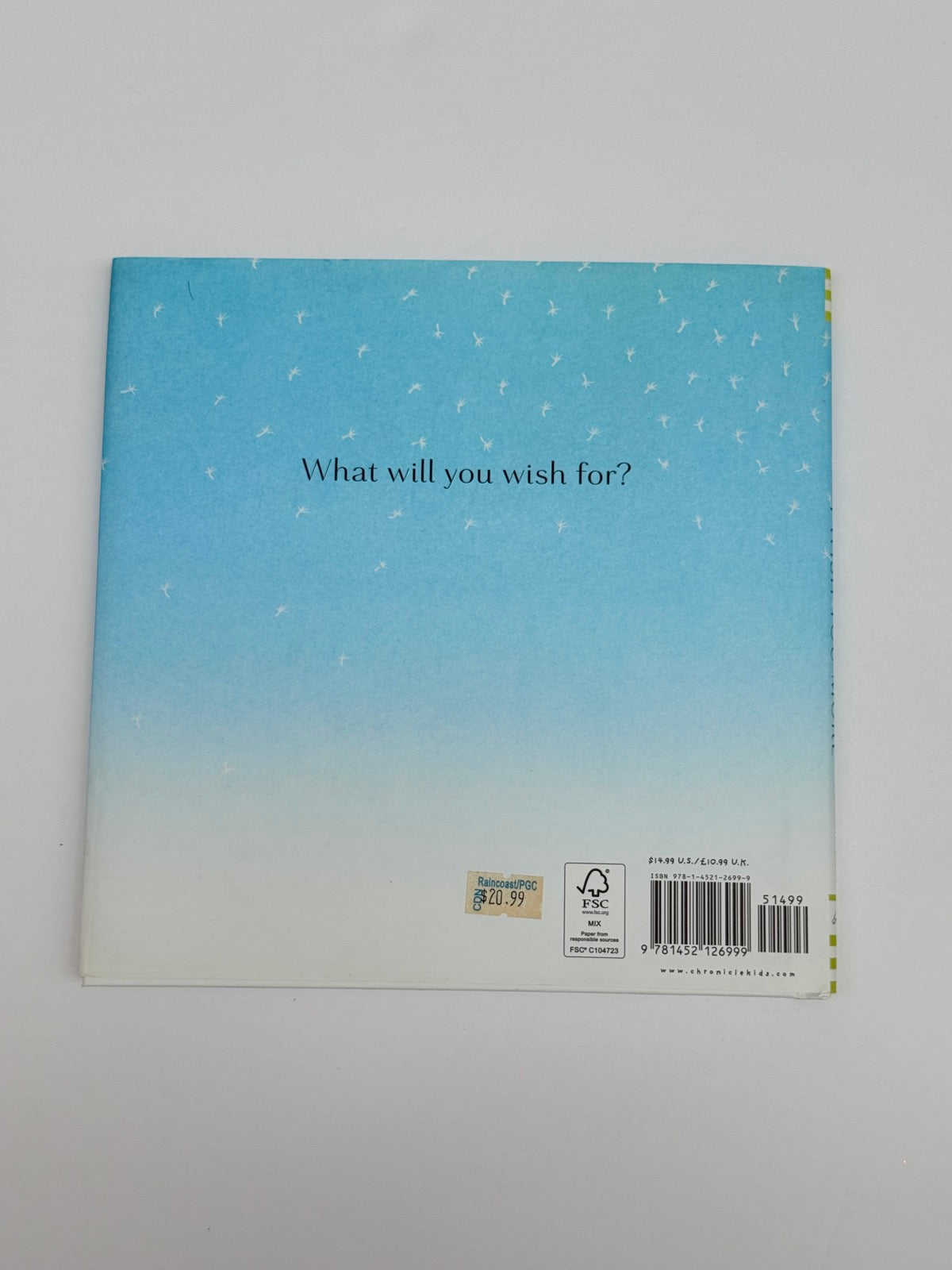 Rosenthal & Lichtenheld I Wish You More
