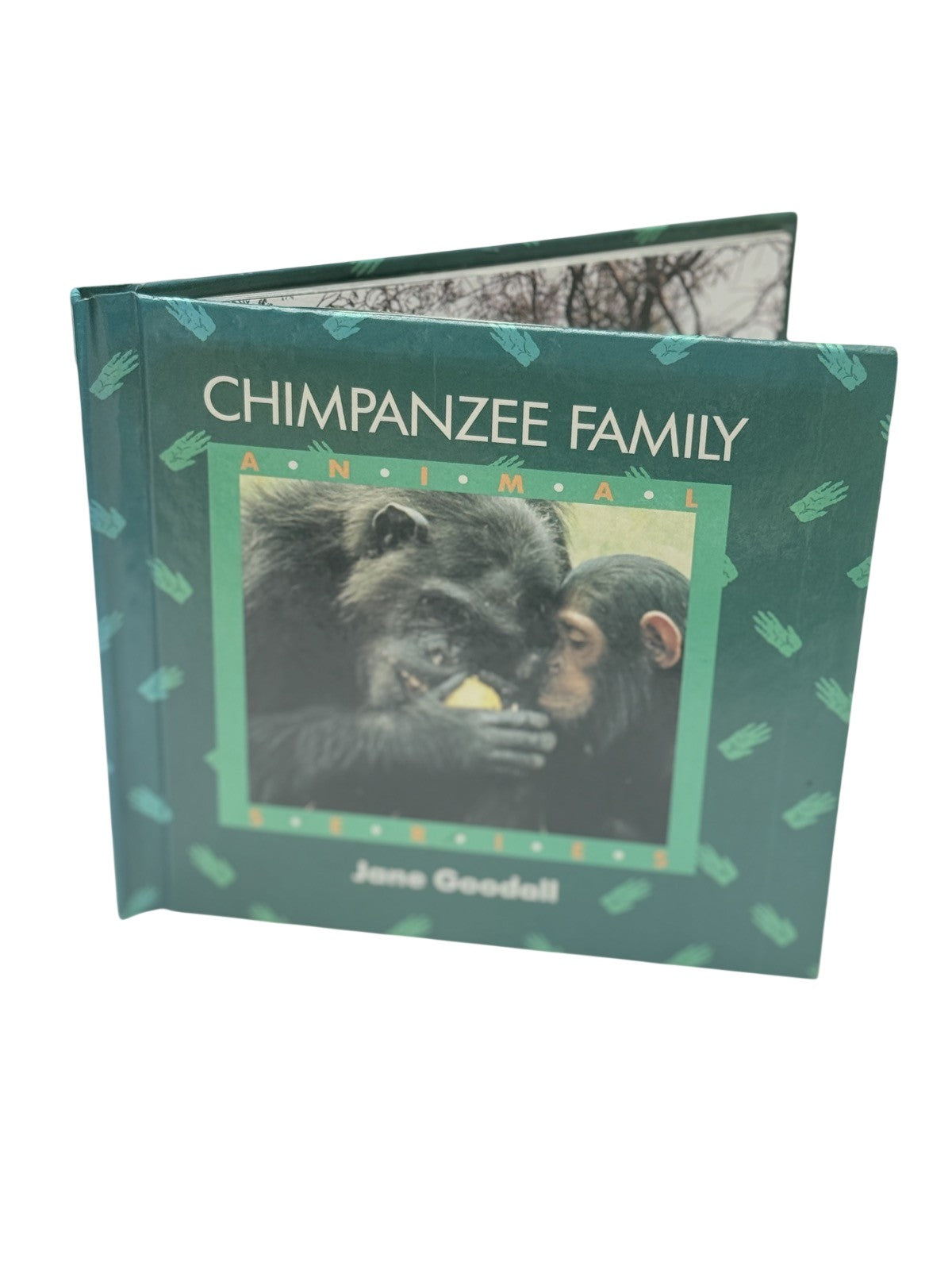 Jane Goodall Chimpanzee Family Animal Series