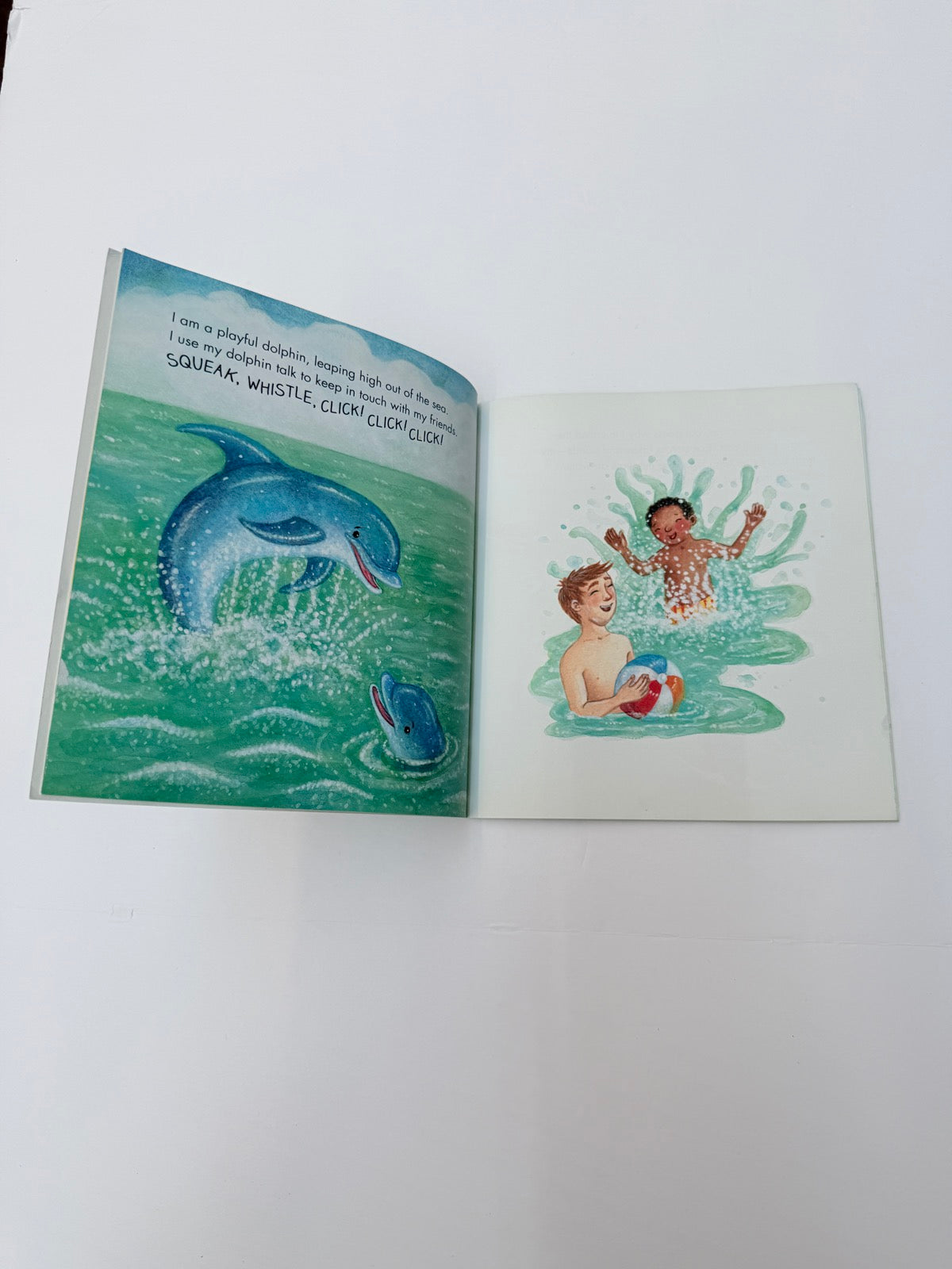 Marilyn Baillie Whoosh! Watery World Creatures