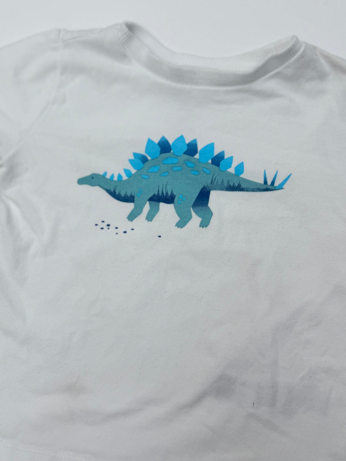 Pekkle Dinosaur Graphic T-Shirt 18M