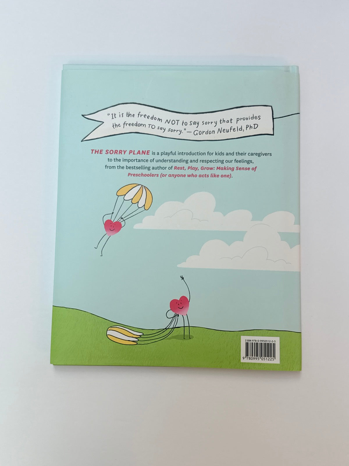 Deborah MacNamara The Sorry Plane