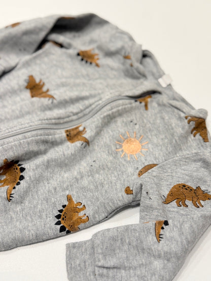 Pekkle Dinosaur Print Footed Sleeper 6M