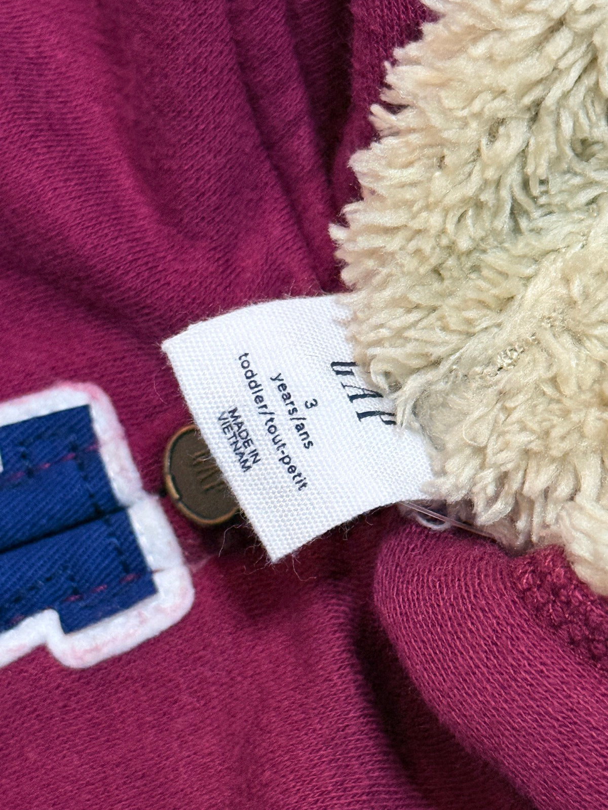 Gap Sherpa Lined Zip Hoodie Size 3T