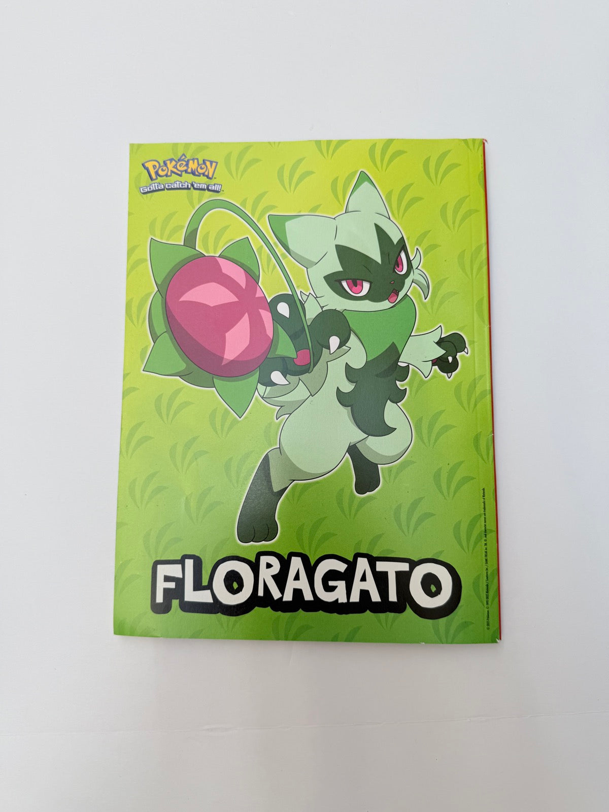 Pokémon Battle Buddies Official Magazine