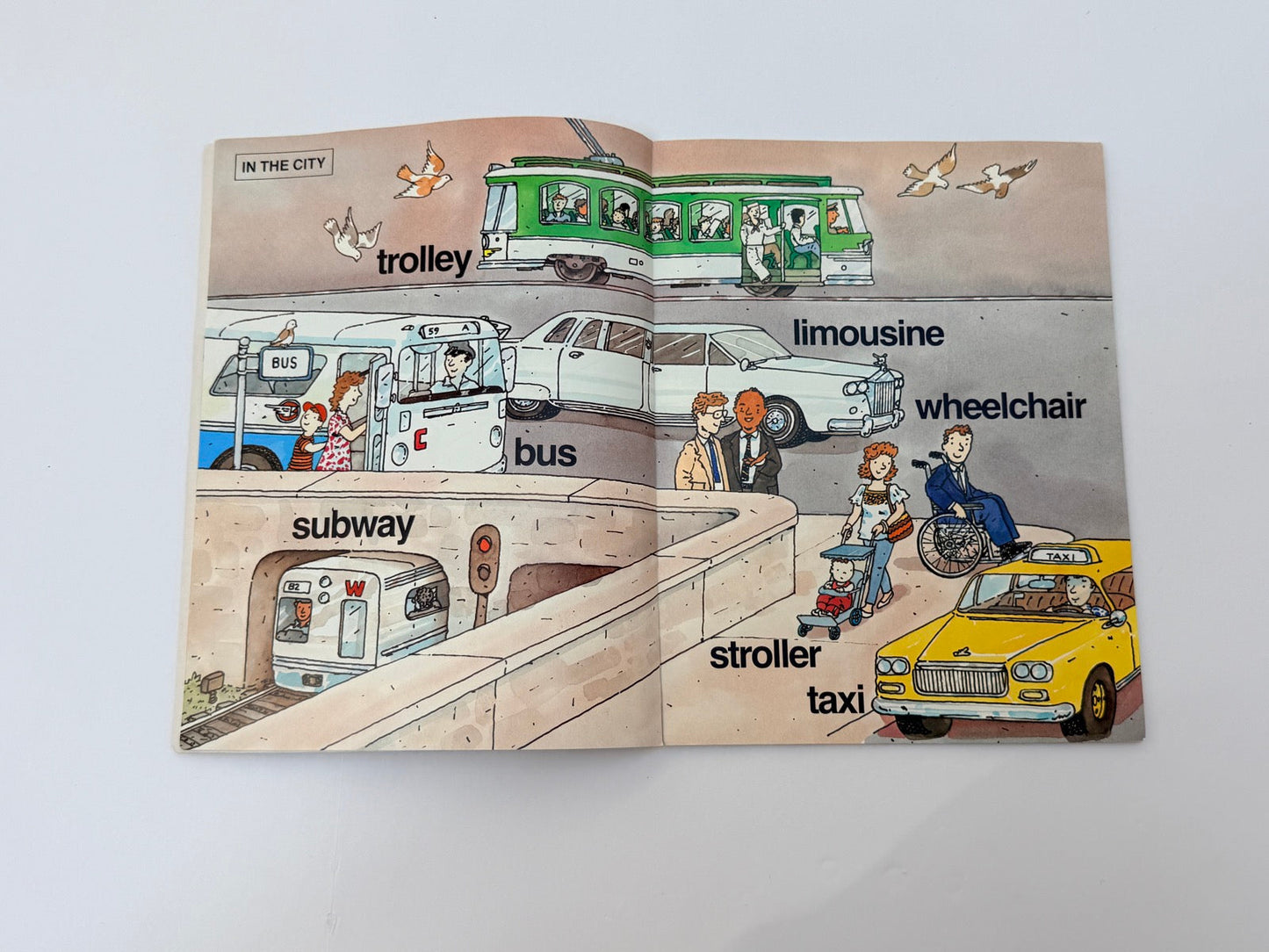 100 Words About Transportation Richard Brown