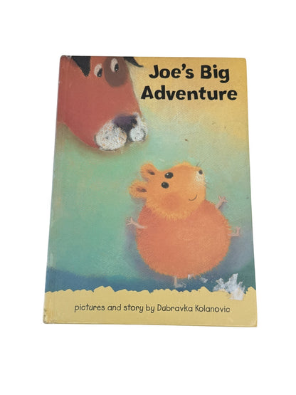 Dubravka Kolanovic Joe's Big Adventure