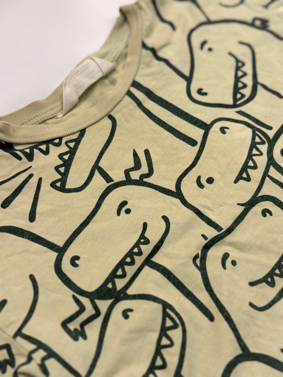 H&M Dinosaur Print T-Shirt 2-4