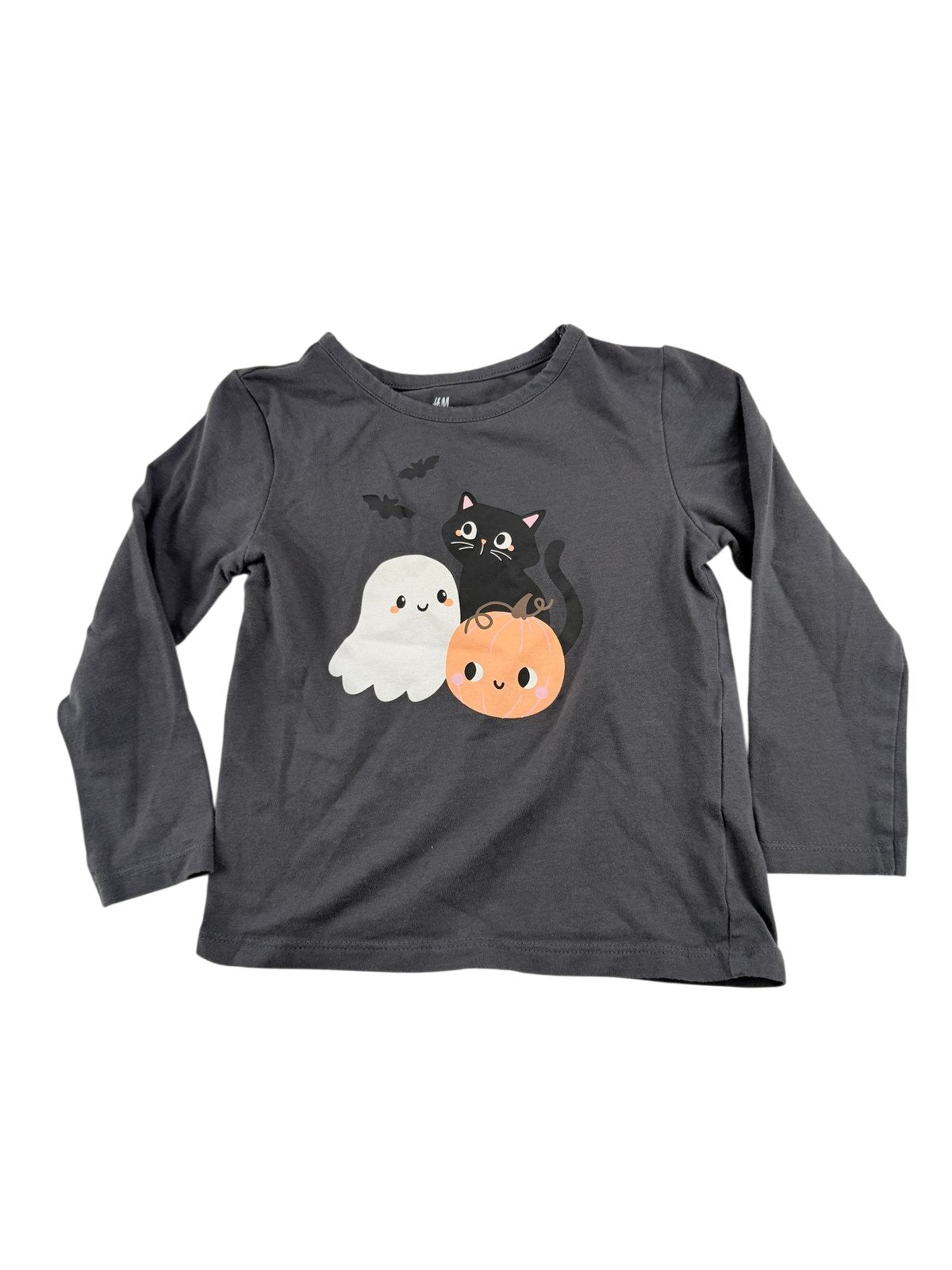 H&M Halloween Ghost Cat Long Sleeve T-Shirt 2T