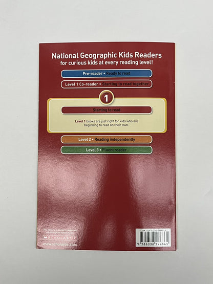 Maya Myers Llamas (National Geographic Kids)
