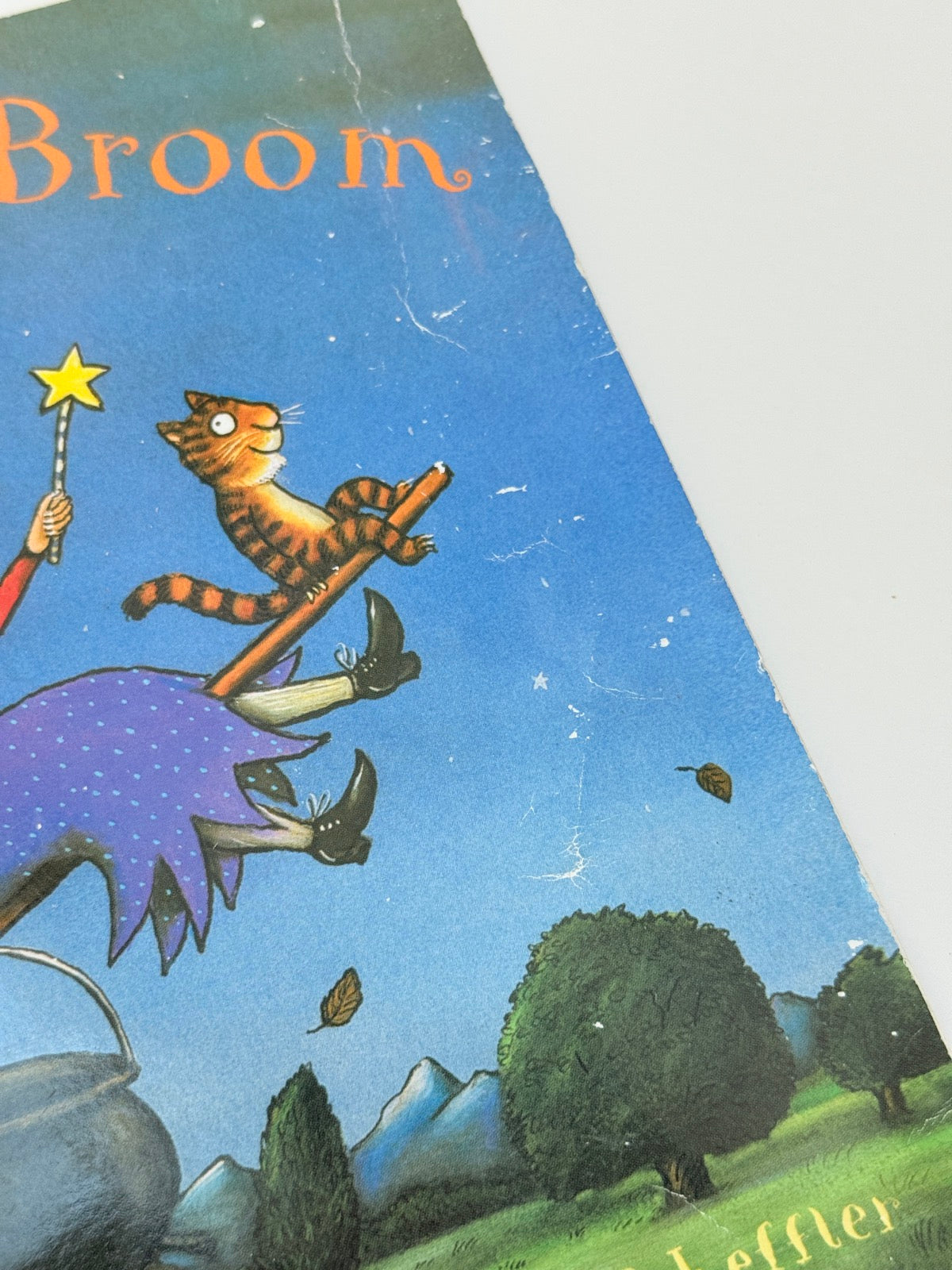 Julia Donaldson Room on the Broom