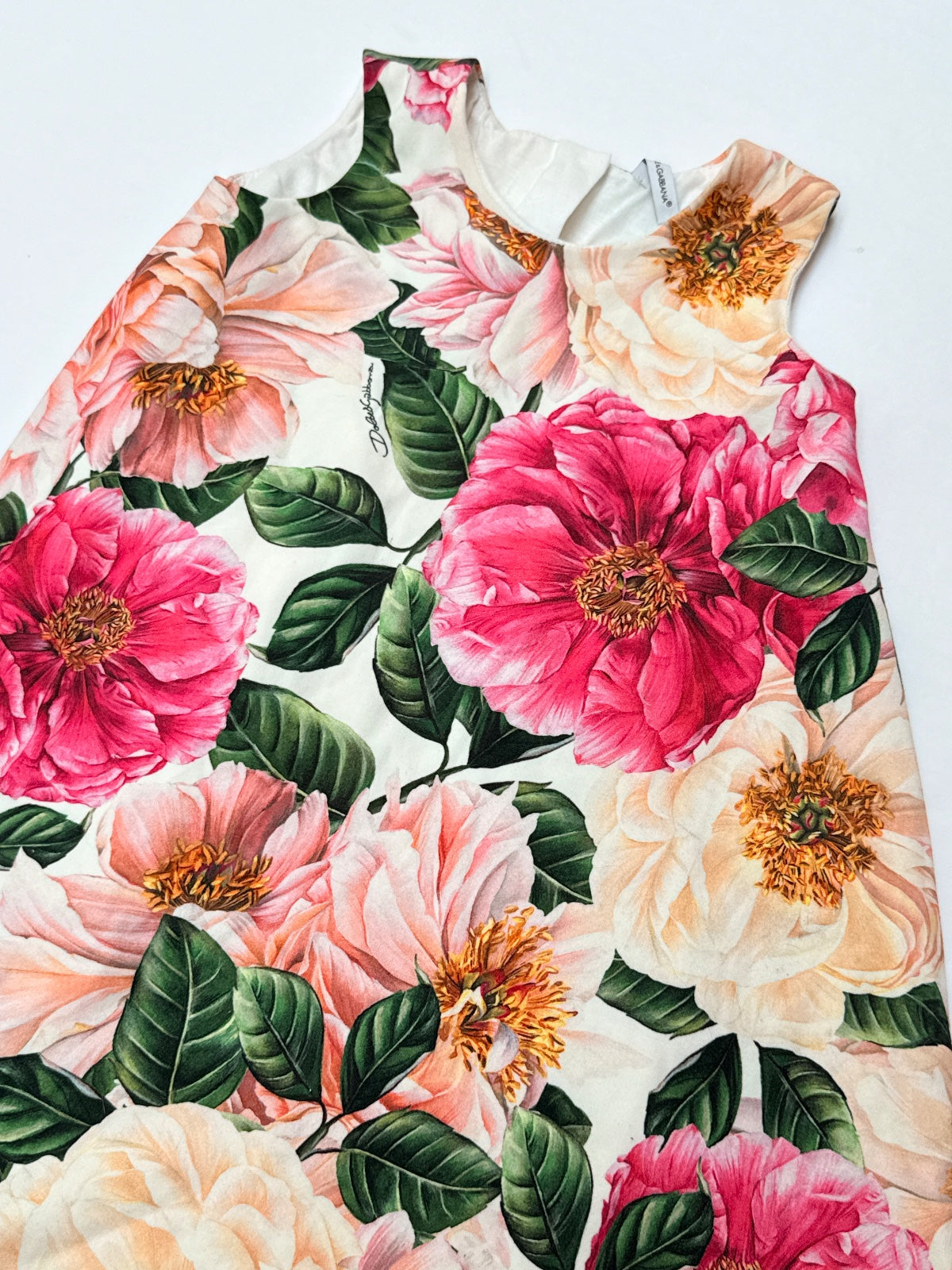 Dolce & Gabbana Floral Sleeveless Dress Size 4