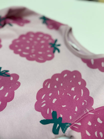 Hard to Find -Zara Raspberry Print Sweatshirt Size 5-6Y