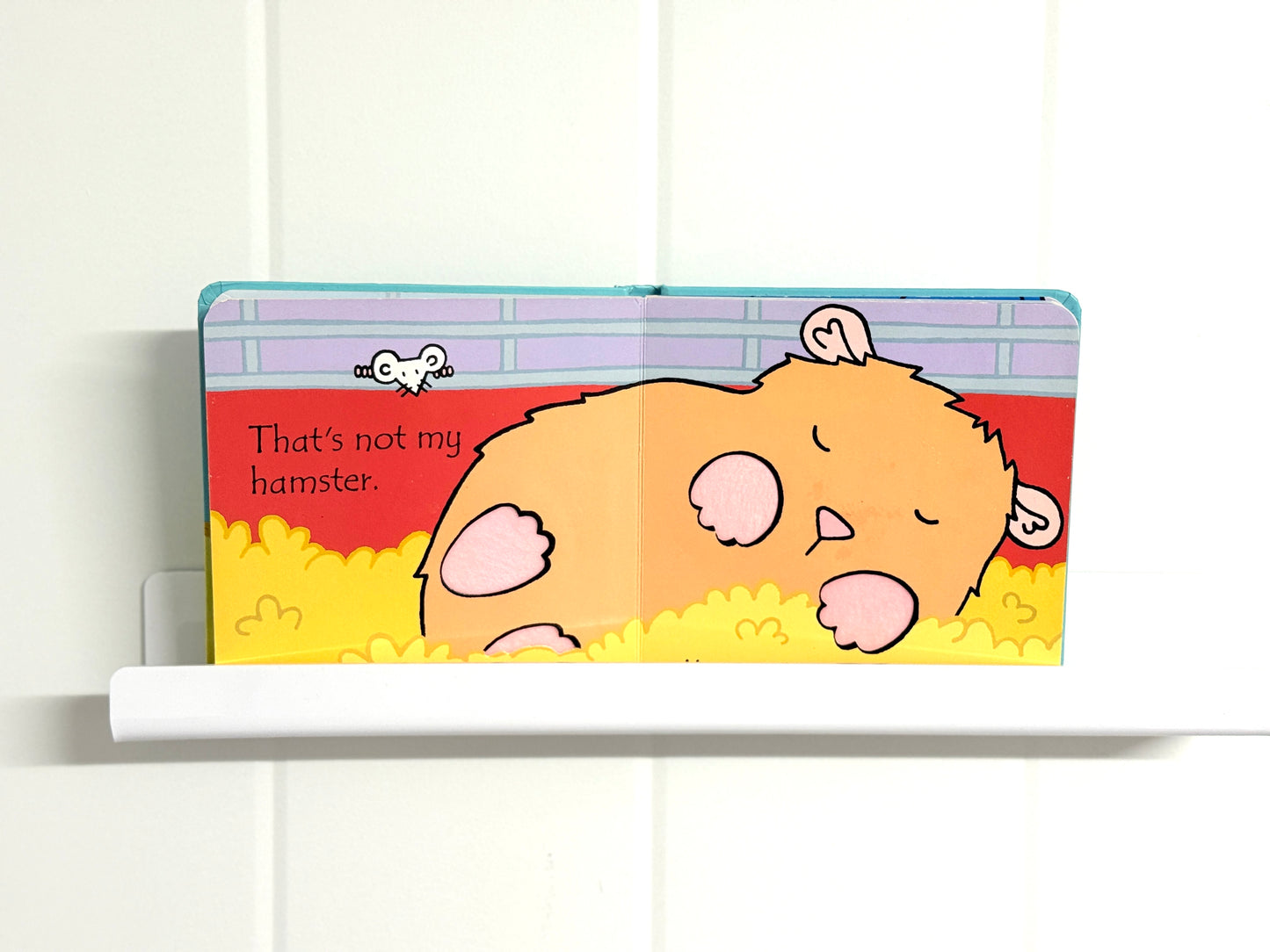 That’s Not my Hamster