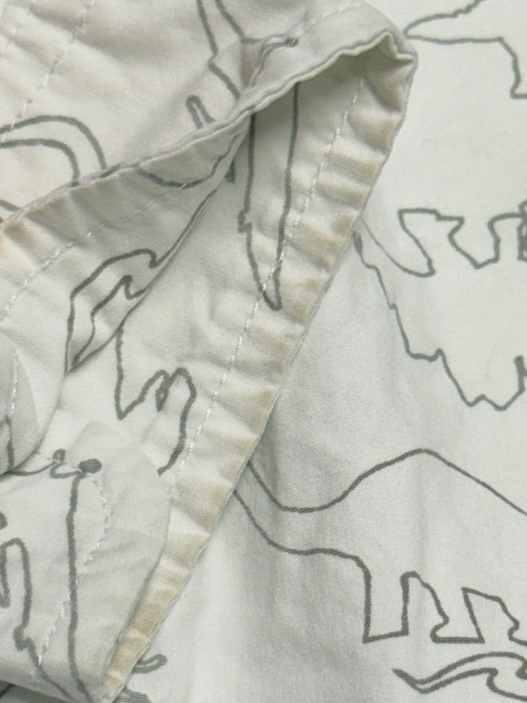 Joe Fresh - DInosaur Button Up 4T