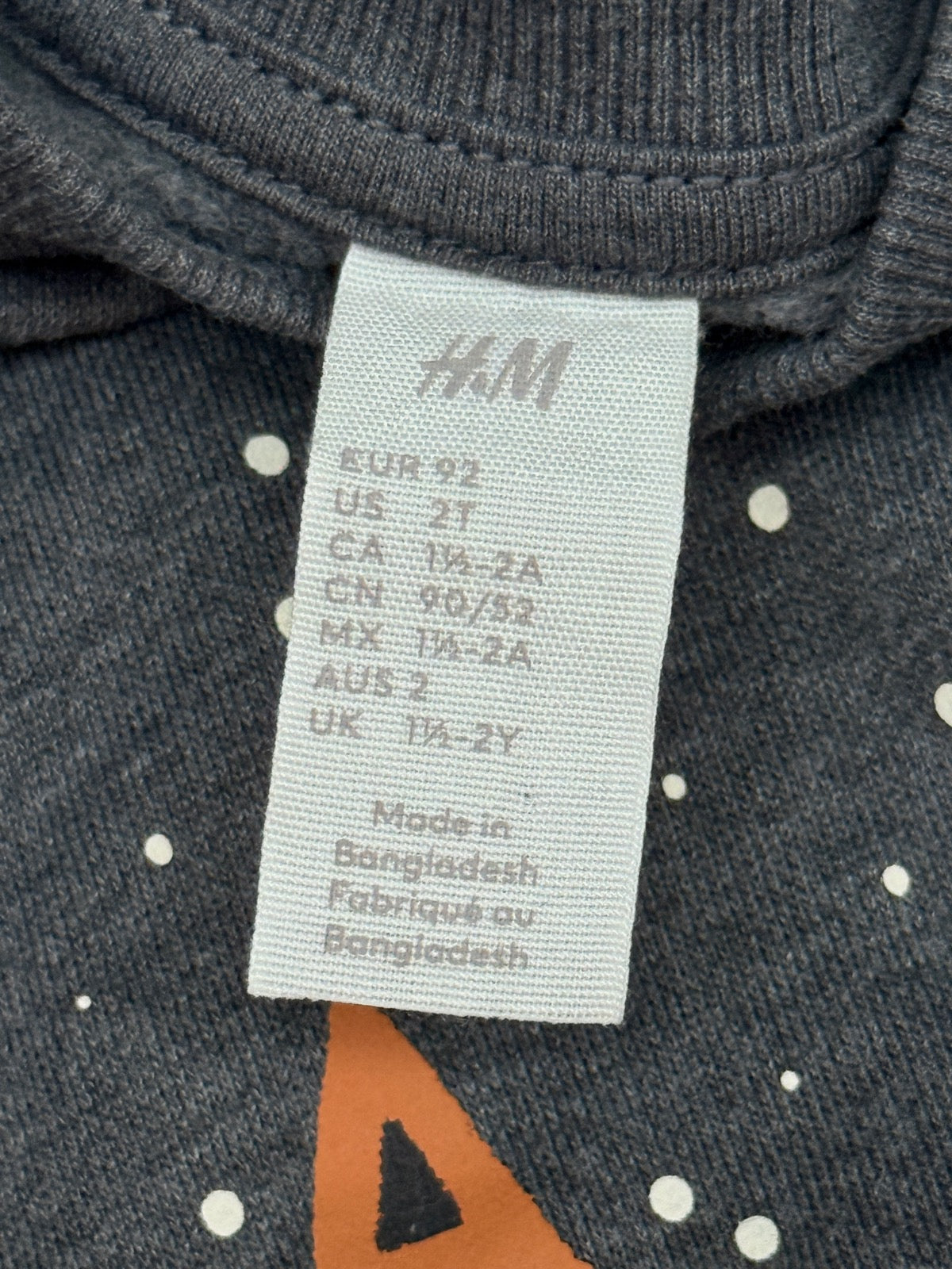 H&M Fox Sledding Sweatshirt 2T