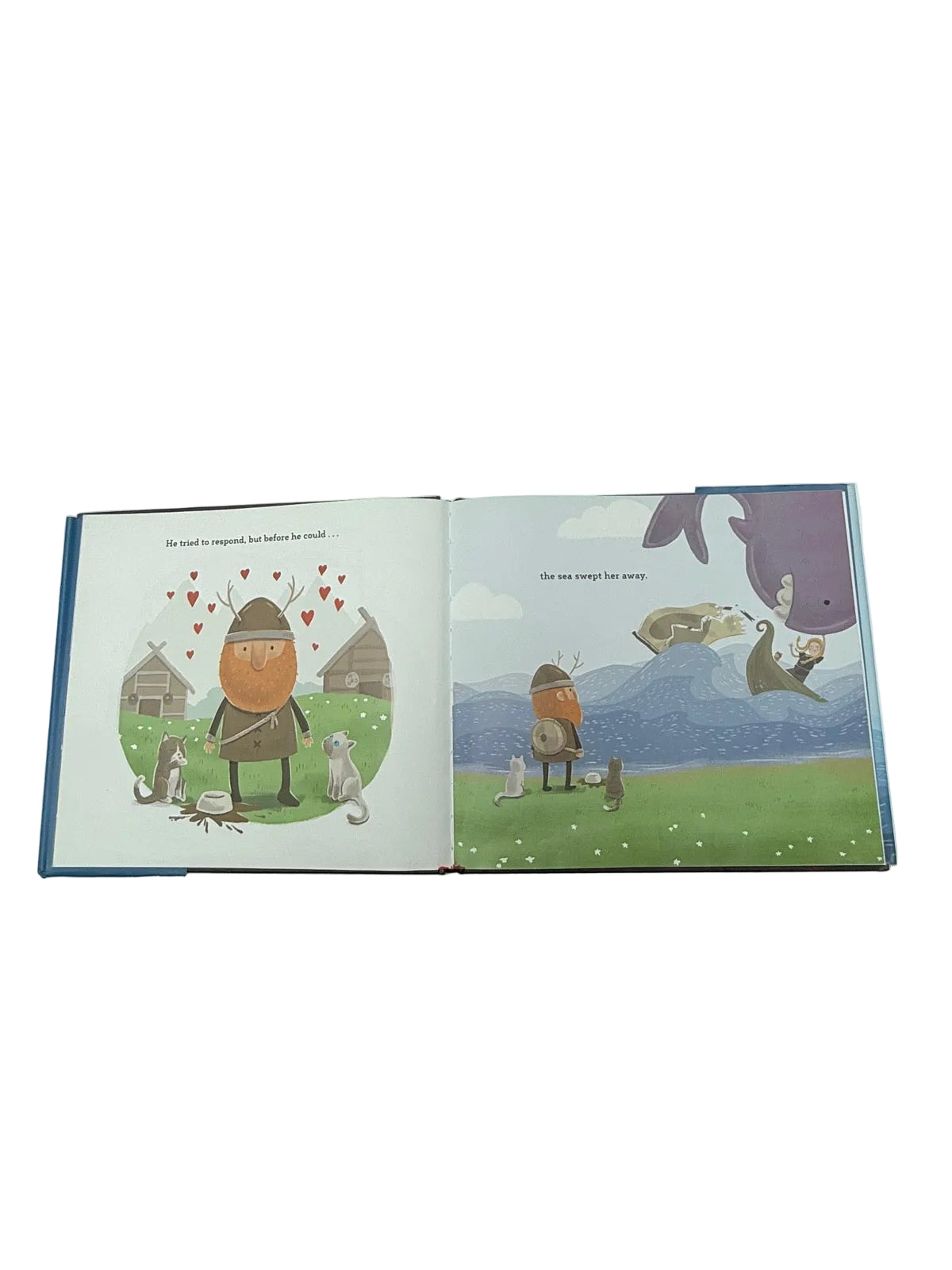 Doug Cenko Viking in Love Picture Book