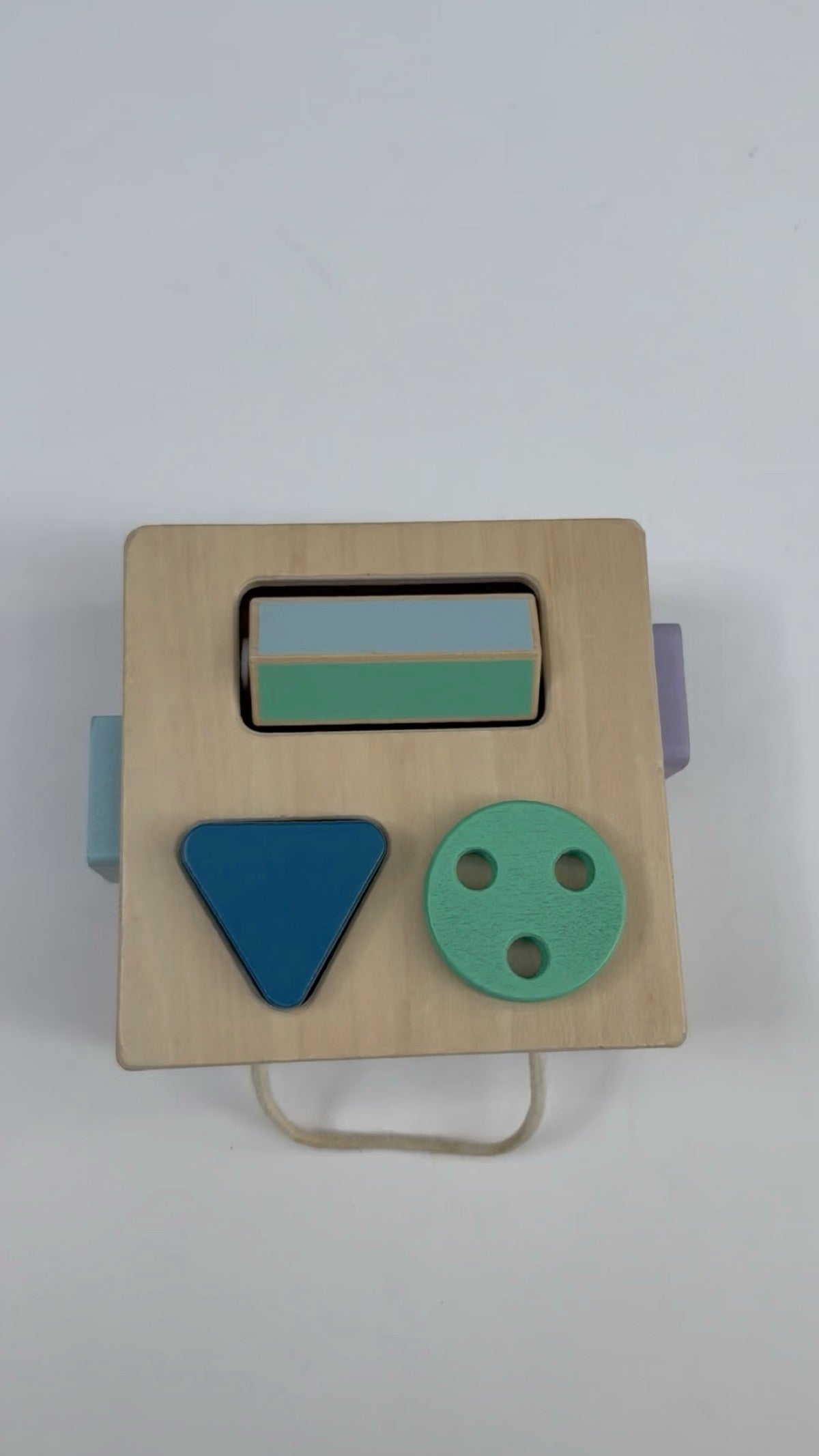 Panda Crate Wooden Shape Toy