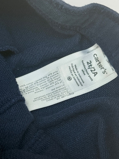 Carter's Dinosaur Jogger Pants 2T
