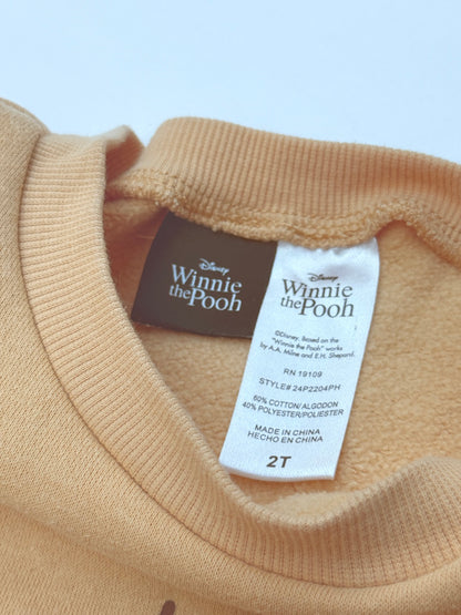 Disney Winnie the Pooh Fleece Set 2T