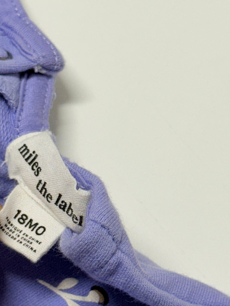 Miles the label 18m Dress