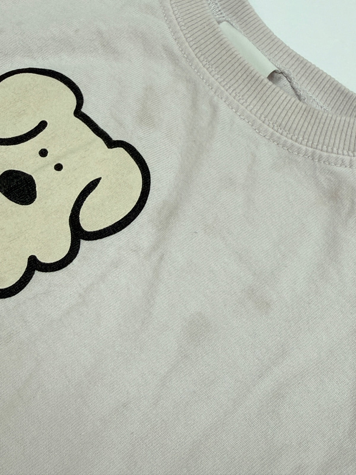 Zara Patrolling The Hood Dog T-Shirt Size 5
