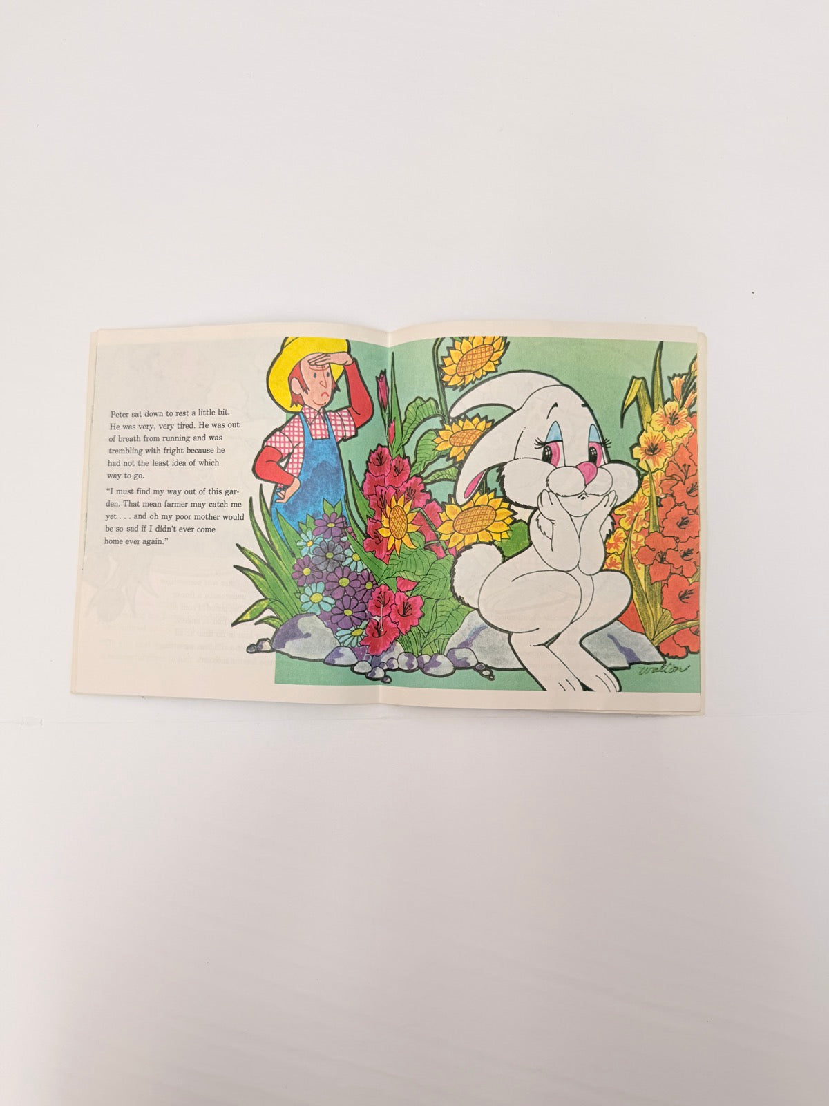 Peter Rabbit Peter Pan Records Read-Along Book