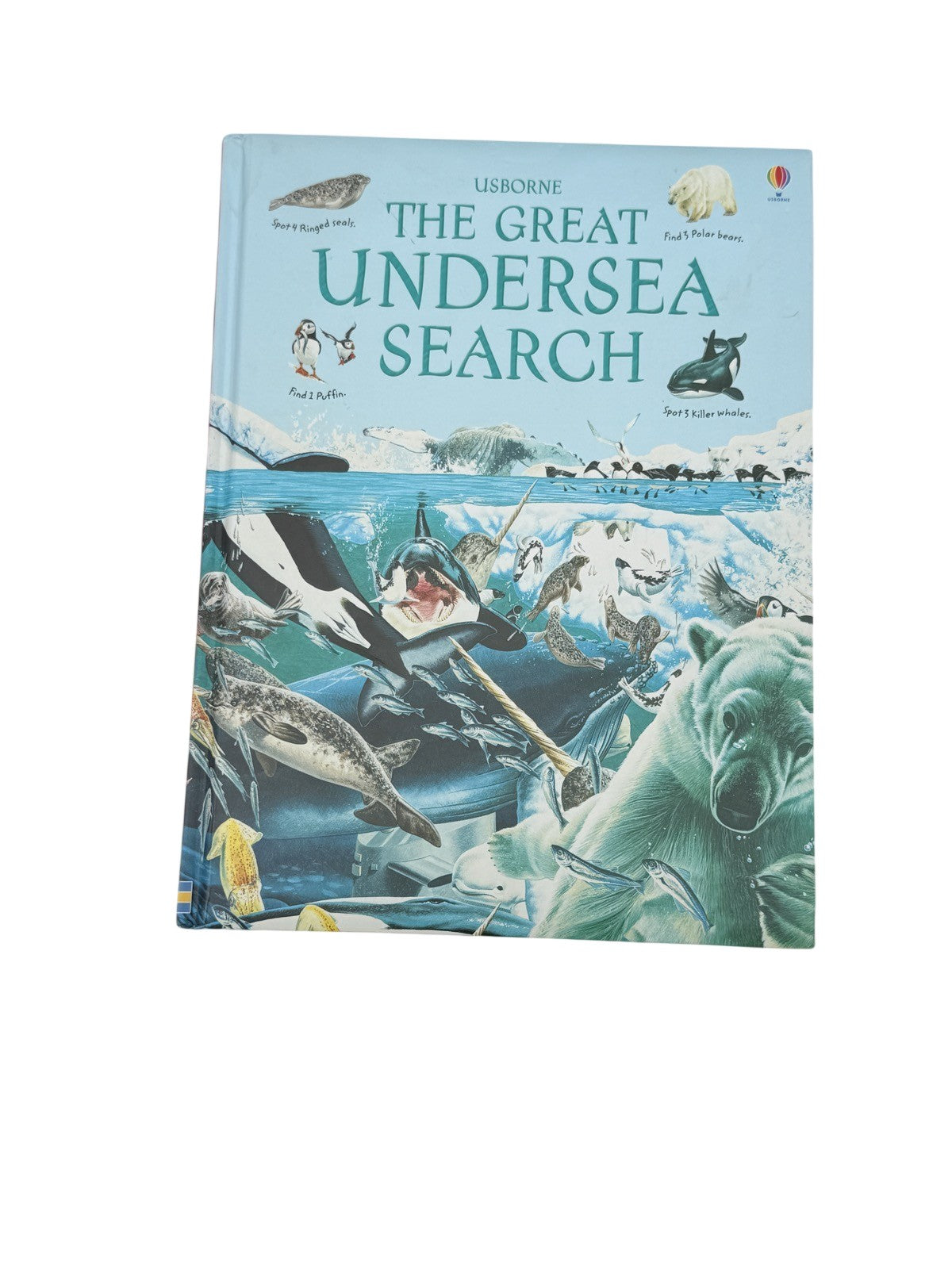 The Great Undersea Search