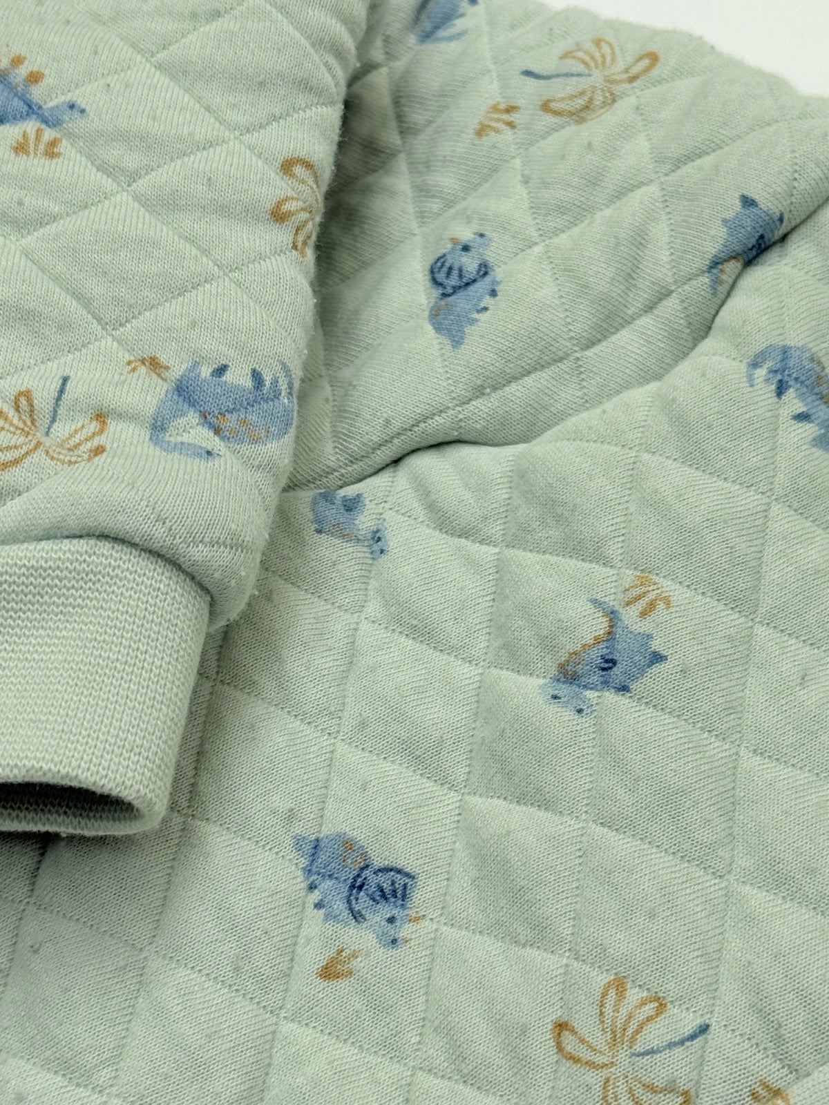 First Wish Quilted Dinosaur Romper 18 24M