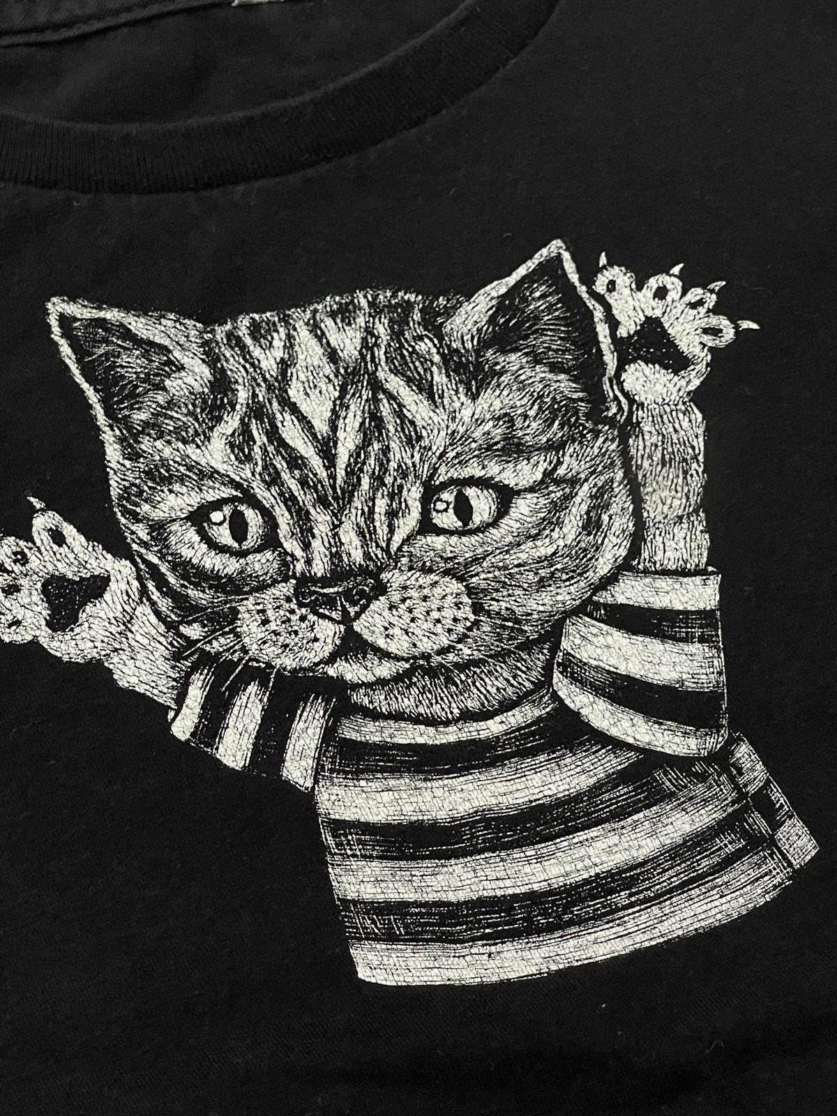 Alstyle Cat Graphic Black T-Shirt 4T