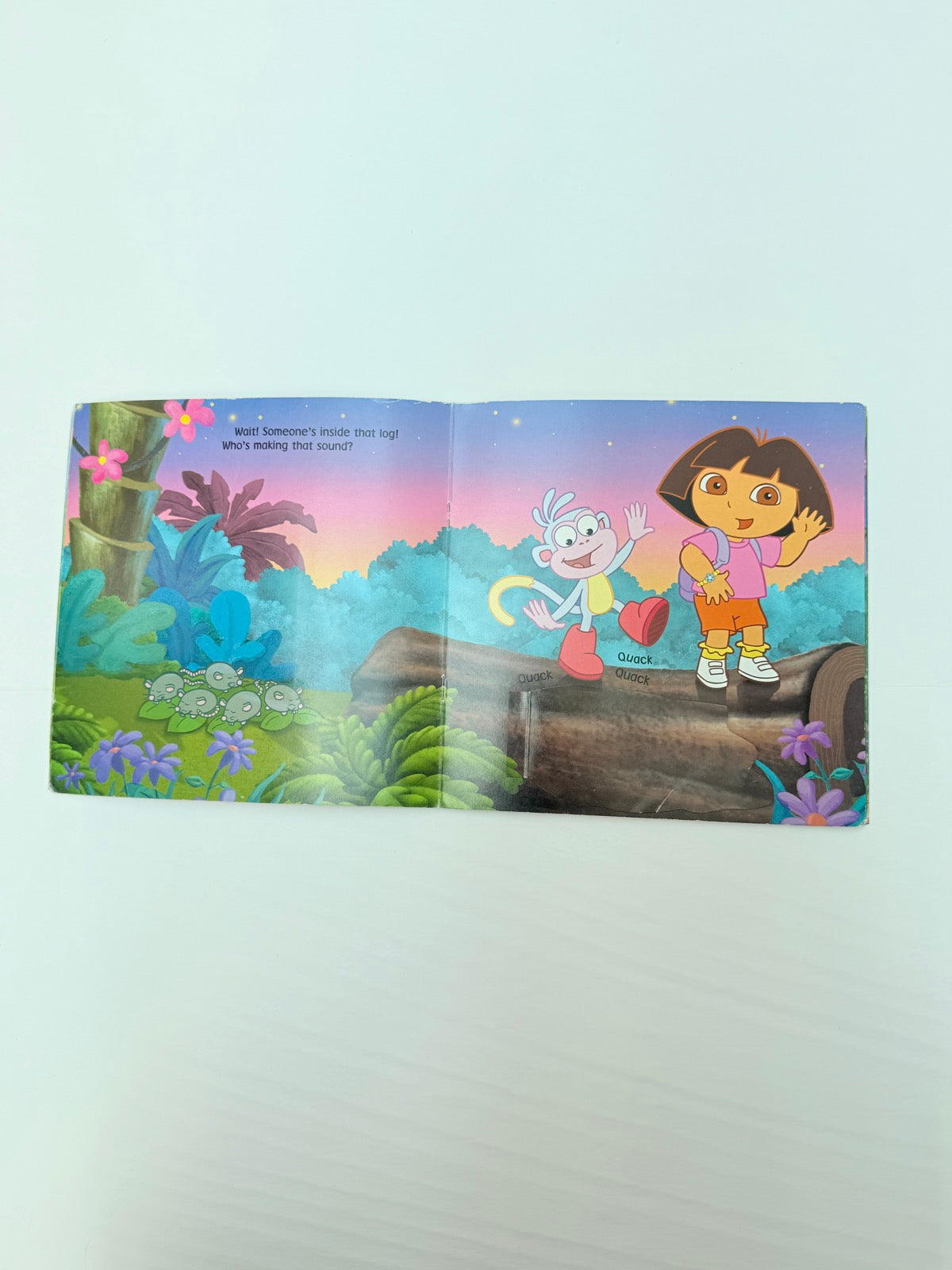 Christine Ricci Good Night, Dora! Lift-the-Flap