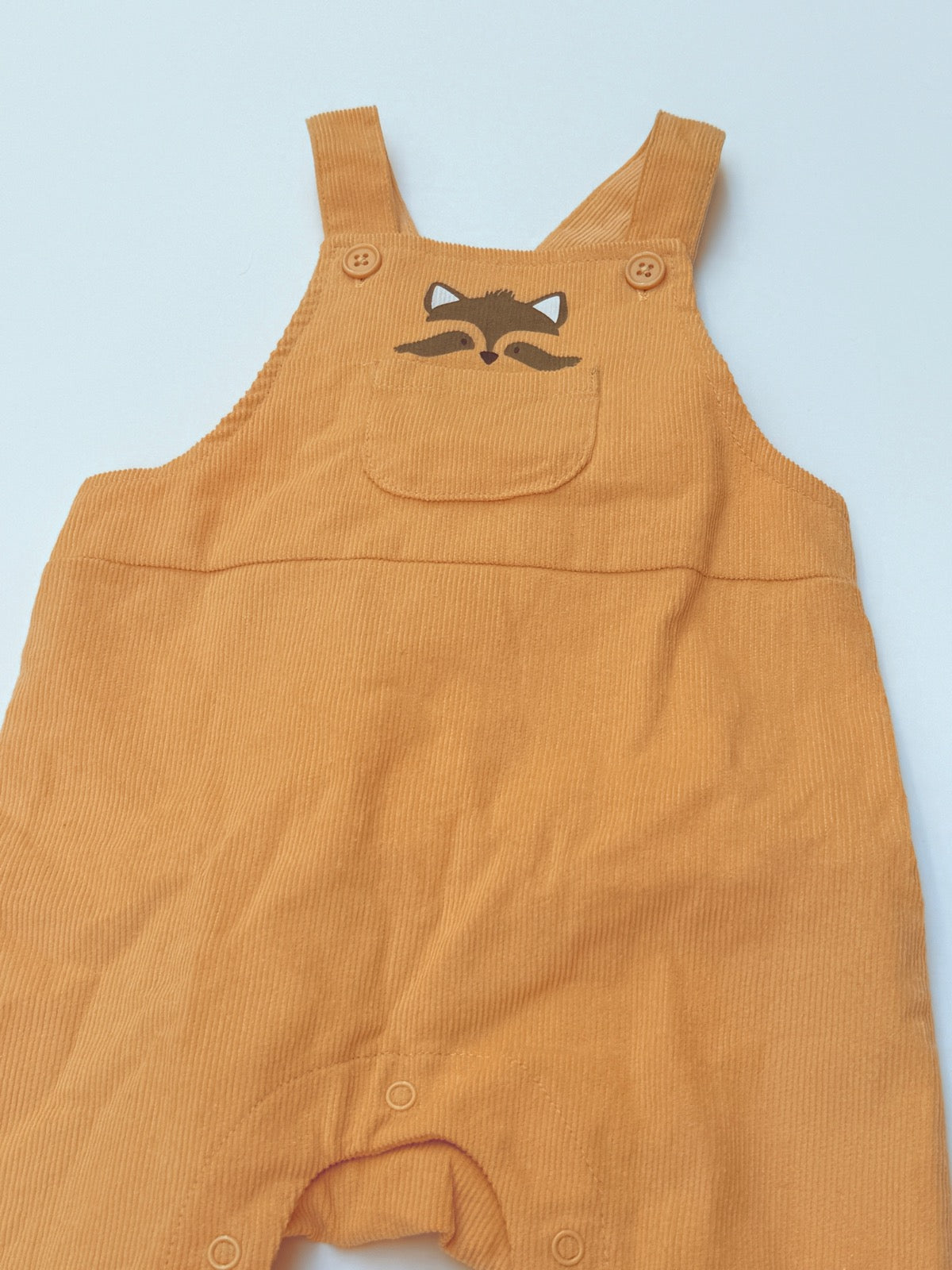 pl.baby Raccoon Corduroy Overalls 9M