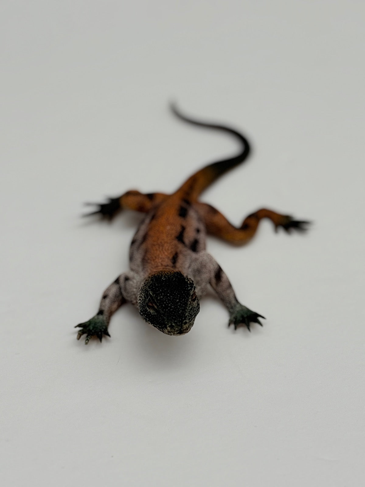 Baby Water Monitor Lizard Toy