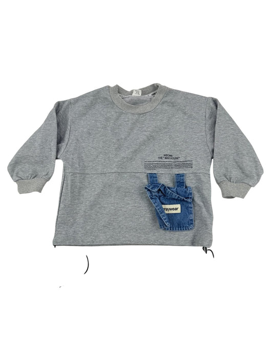 Hone Baby Gray Sweatshirt Size 3T