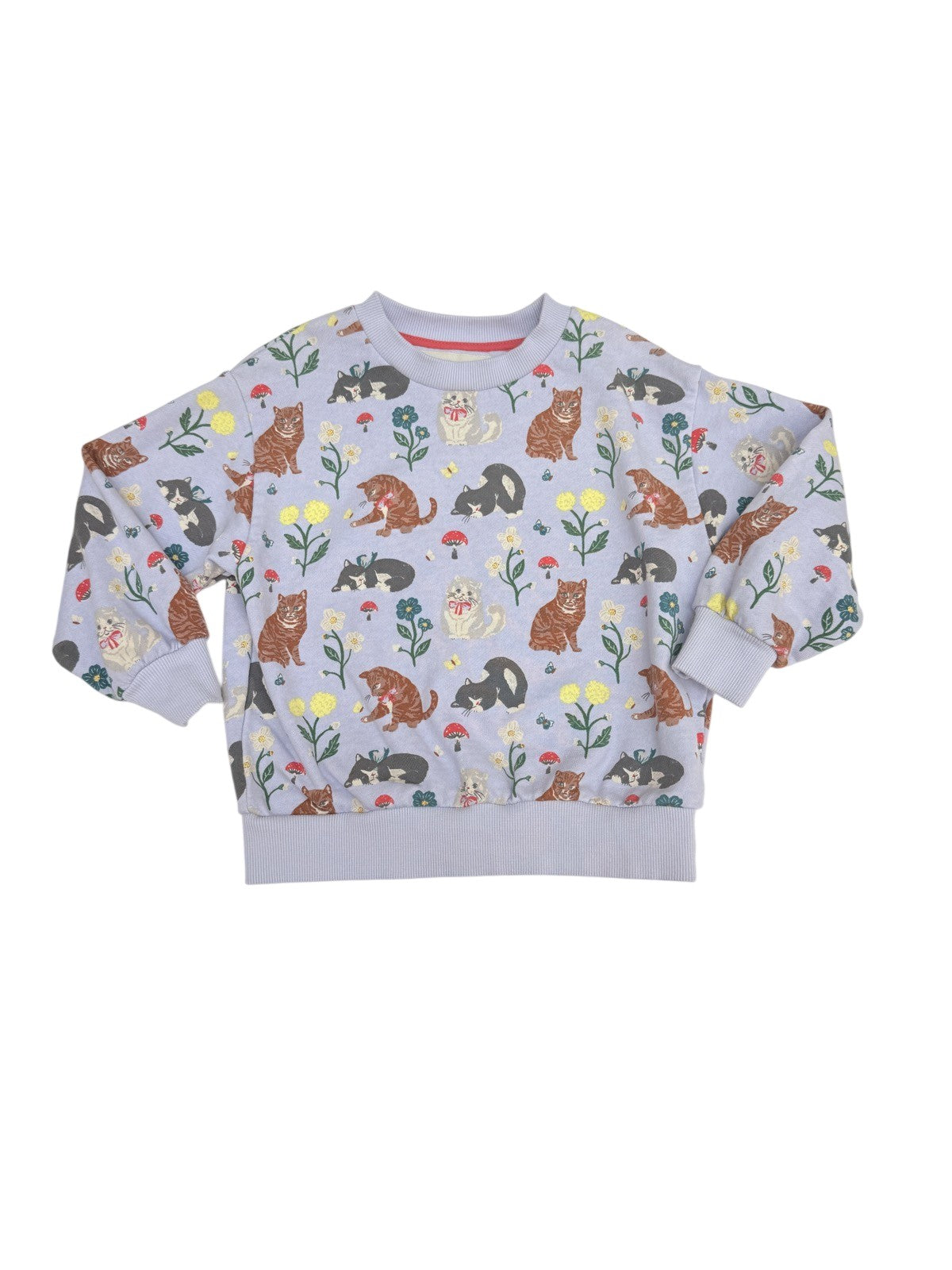 Mini Boden Cat Floral Sweatshirt Size 5-6Y