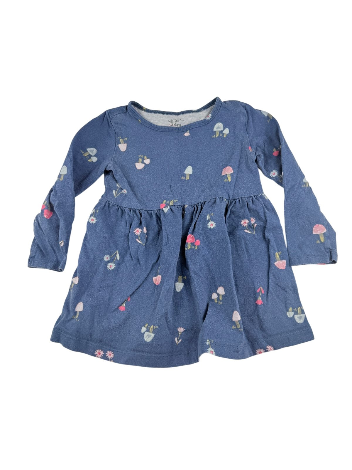 Carter's Mushroom Floral Blue Dress 24M
