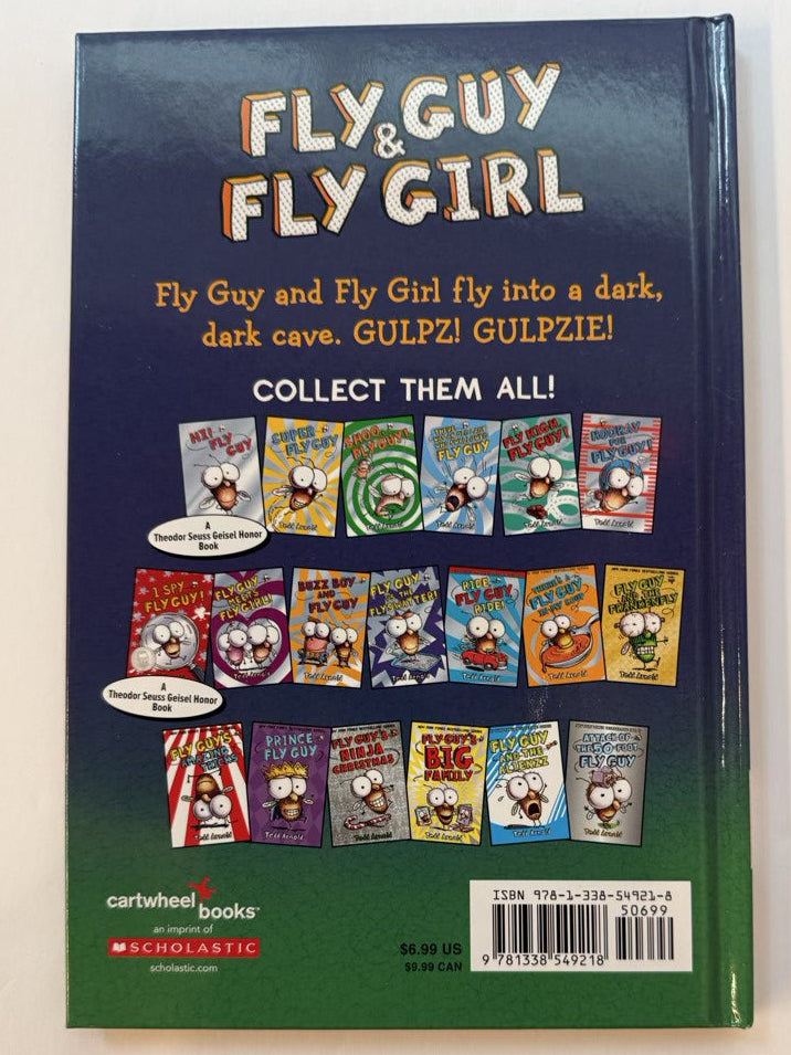 Tedd Arnold Fly Guy & Fly Girl Night Fright