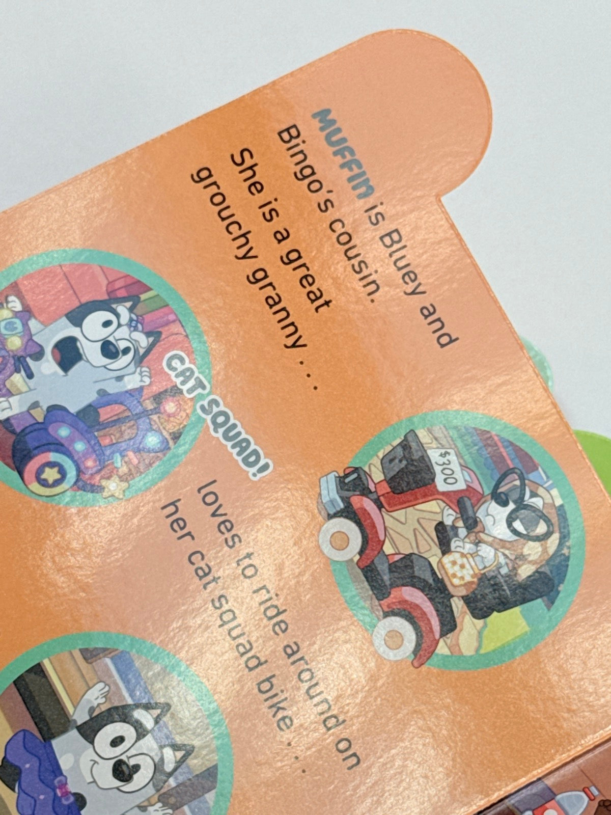 Bluey Meet Bluey's Family Board Book