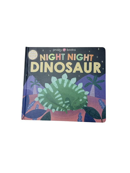 Night Night Dinosaur Glow in the Dark Book