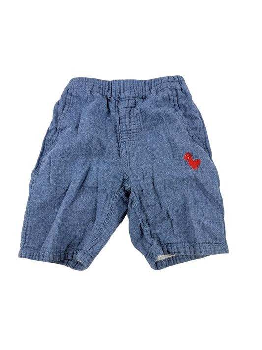 Blue Muslin Dinosaur Embroidered Shorts