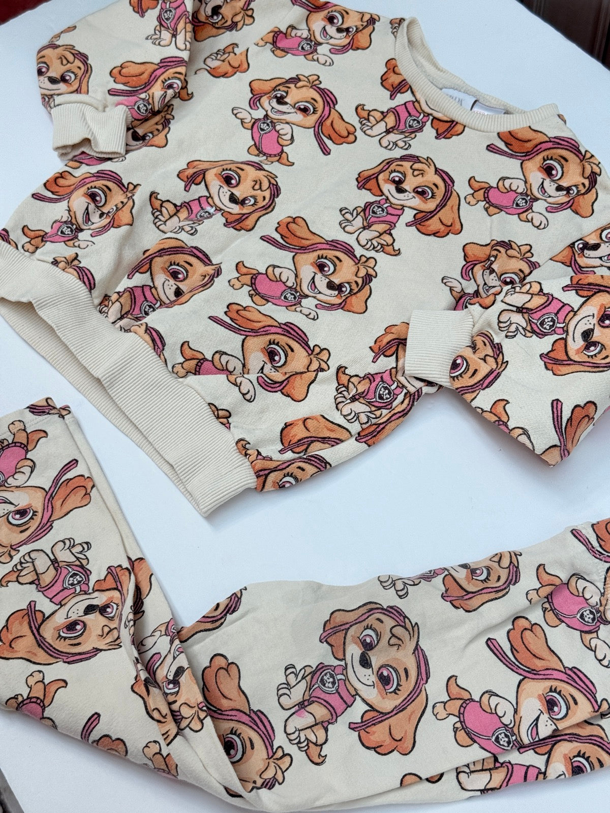 Zara PAW Patrol Skye Sweatsuit Set 3-4Y