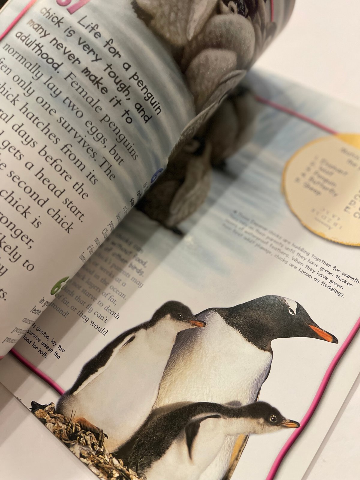 100 Facts Penguins